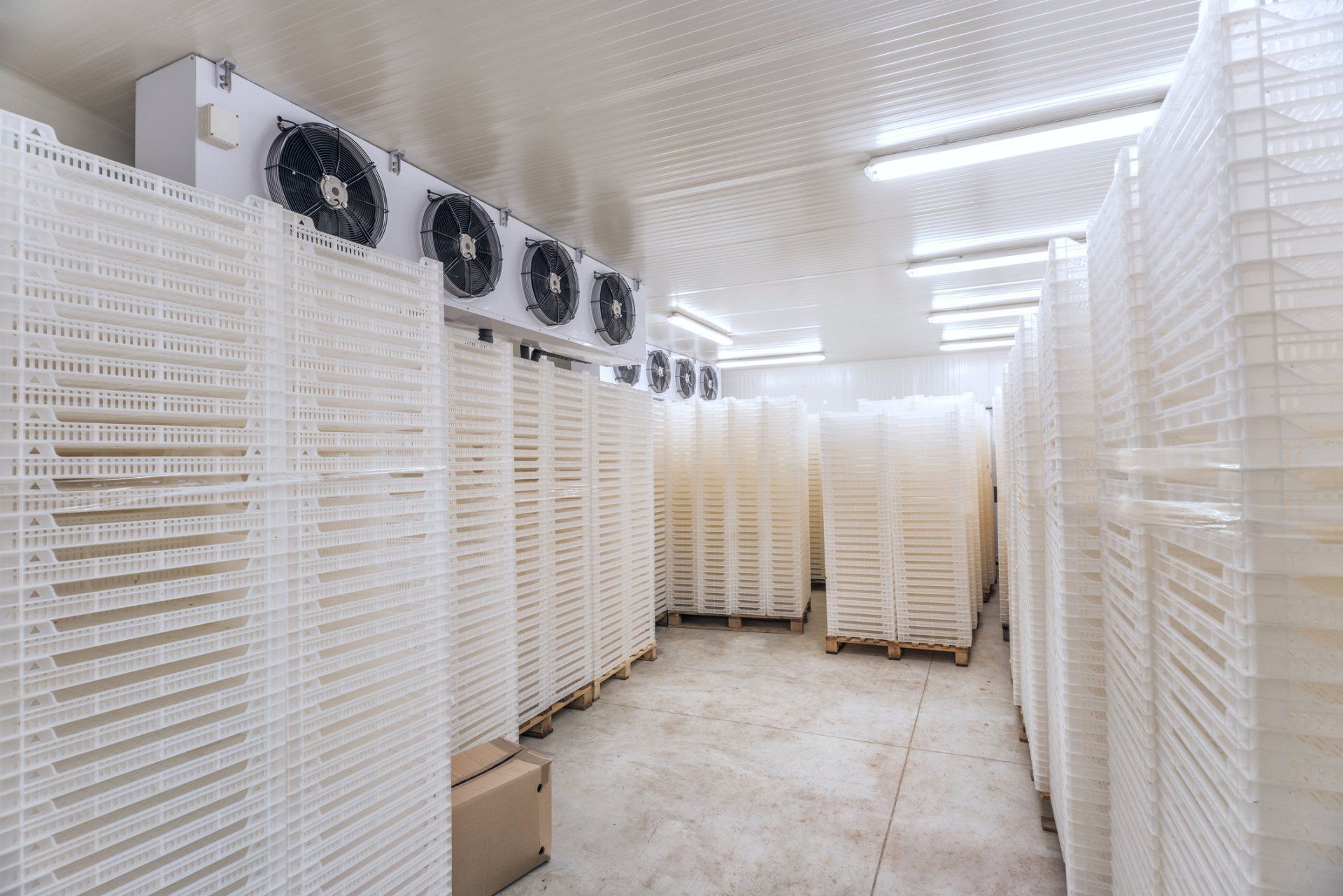 Freezer Room — Glenorchy, TAS — RBR Refrigeration Sales & Services Pty Ltd